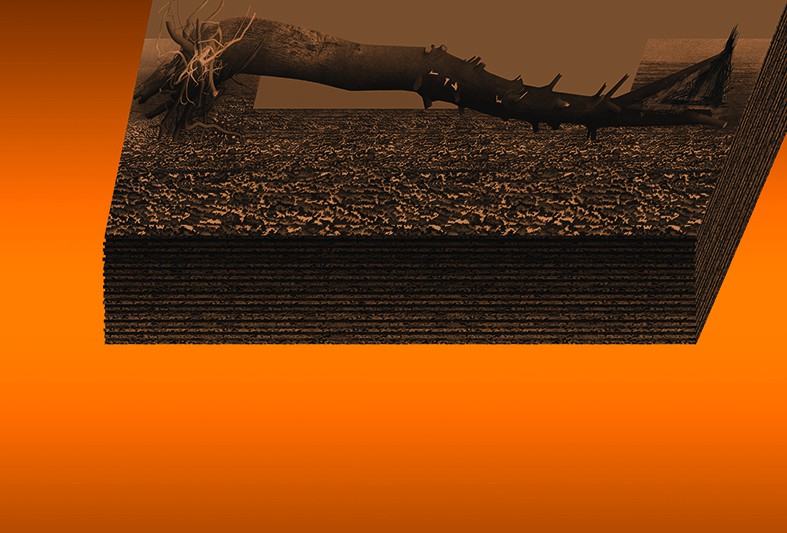 drzewo leżące w miodzie | offset, druk cyfrowy | 100 x 150 cm | 2012